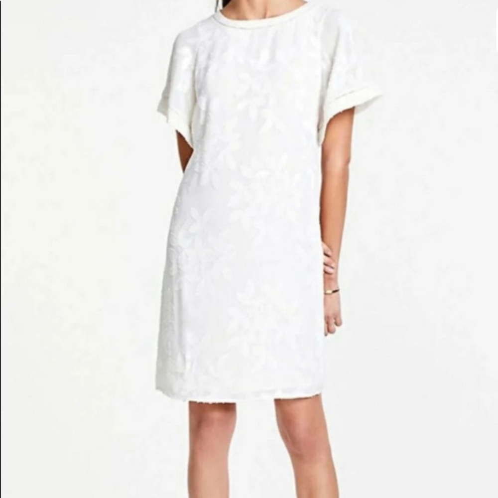 Ann Taylor Jacquard Flutter Sleeve T-Shirt Dress